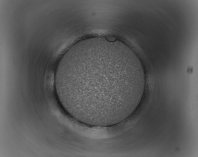 X0000110720024200906261506