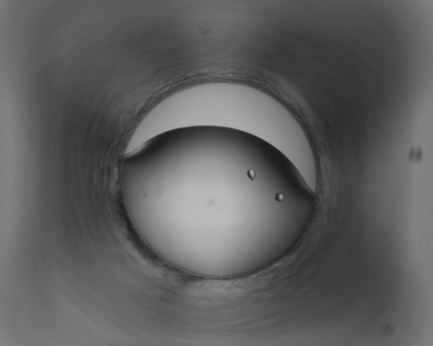 X0000110720025200906261506