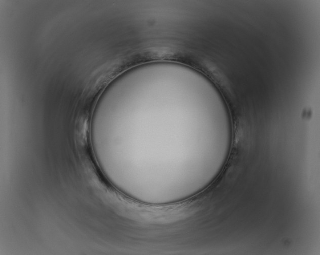 X0000110720026200906261506