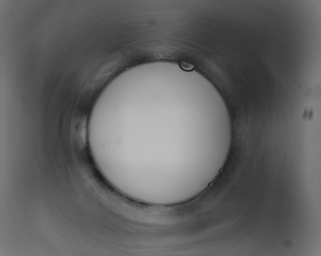 X0000110720028200906261506