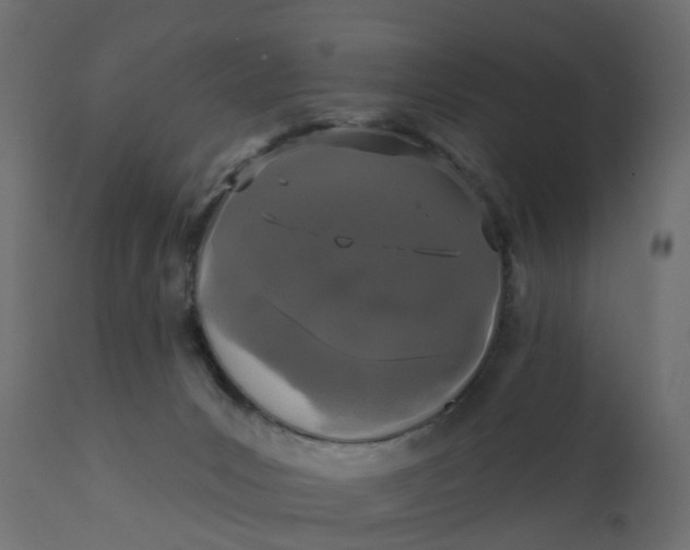 X0000110720031200906261506