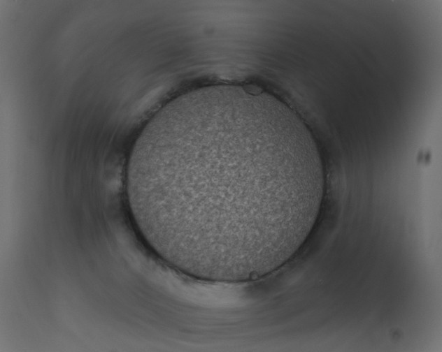 X0000110720032200906261506