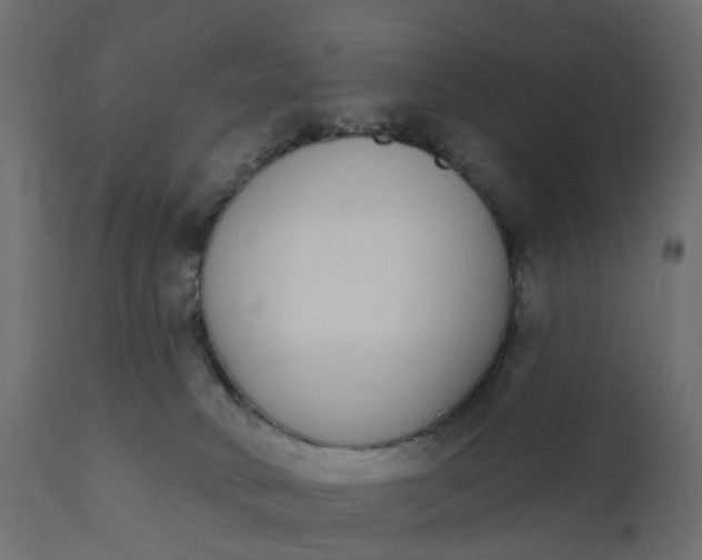 X0000110720034200906261506