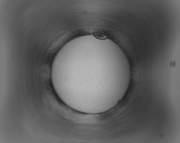 X0000110720036200906261506