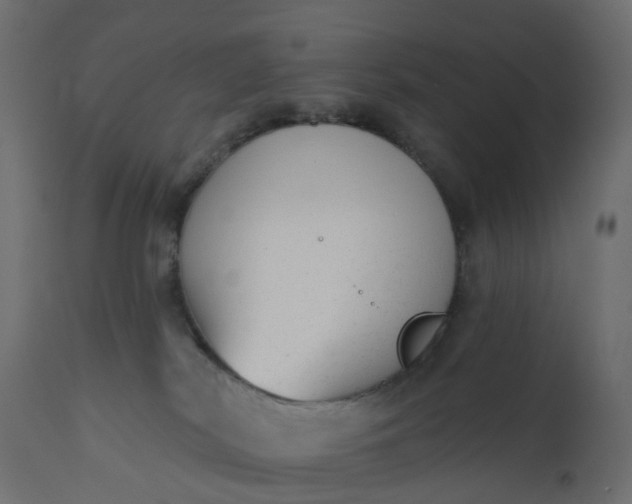 X0000110720038200906261506