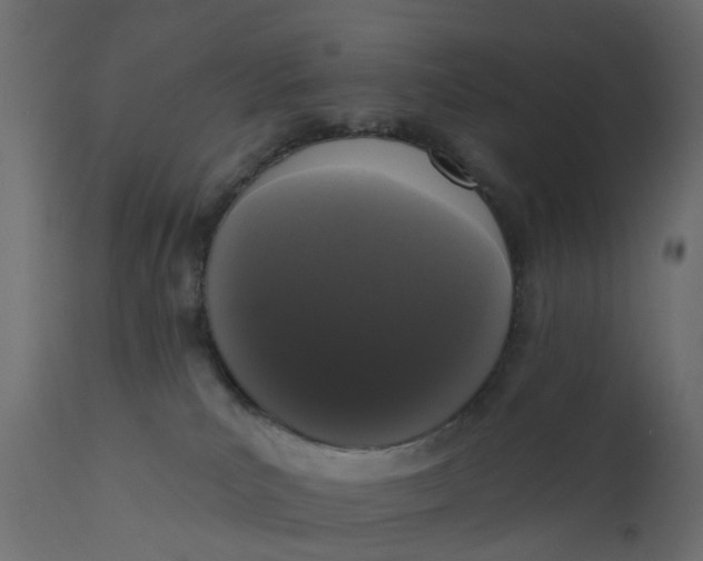 X0000110720039200906261506