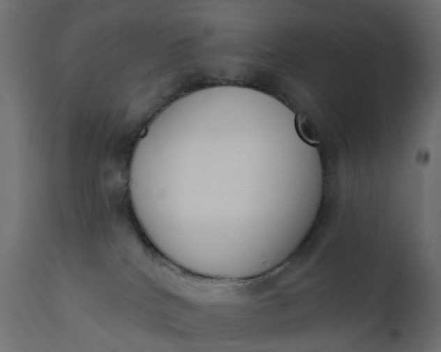 X0000110720040200906261506