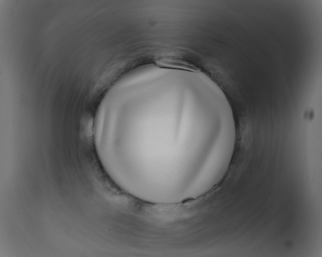 X0000110720041200906261506