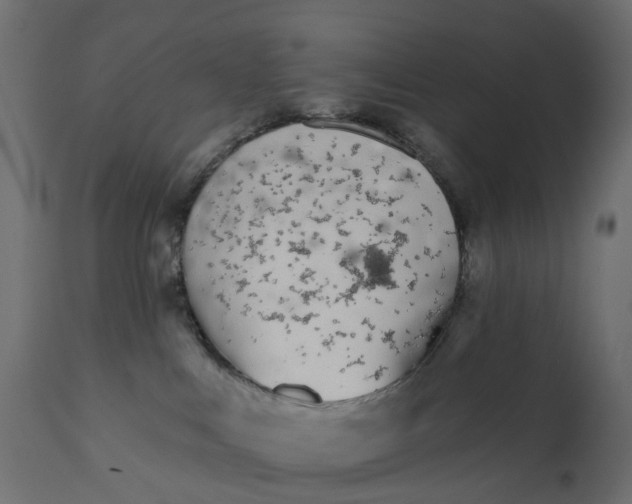 X0000110720043200906261506