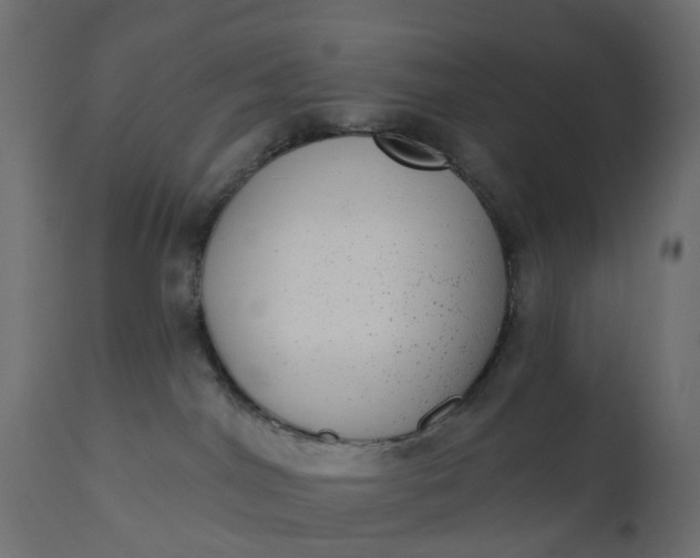 X0000110720044200906261506