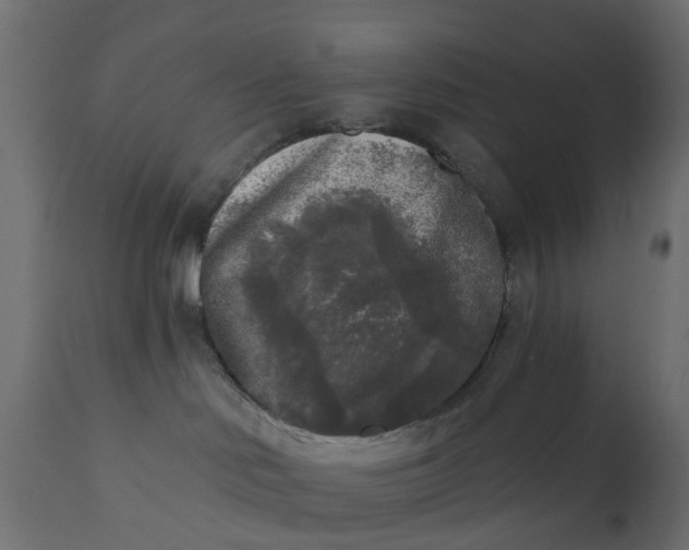 X0000110720046200906261505