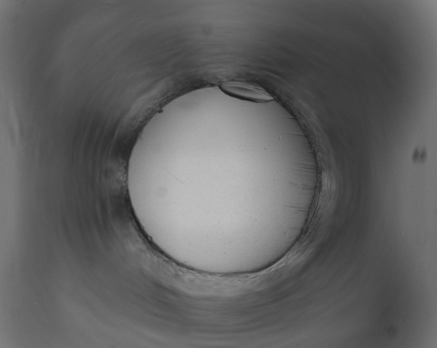 X0000110720048200906261505