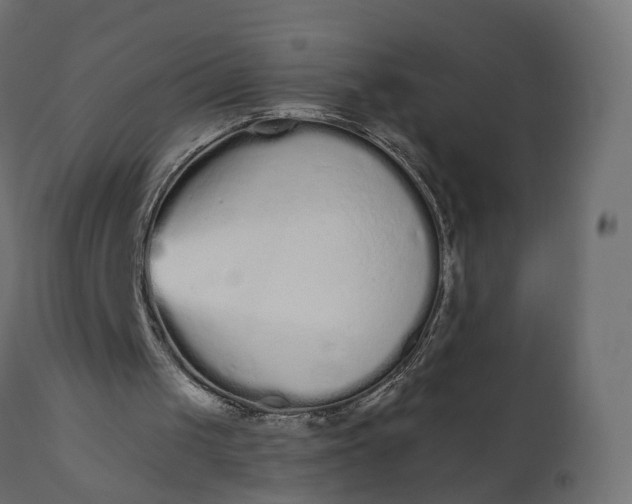 X0000110720049200906261505