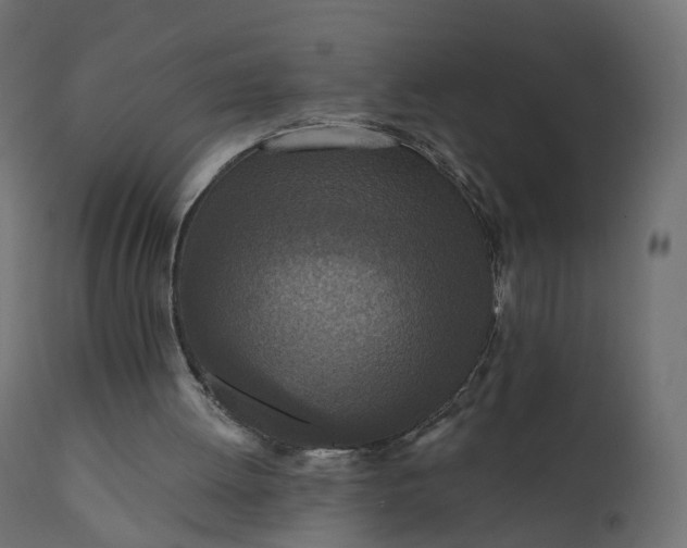 X0000110720052200906261505