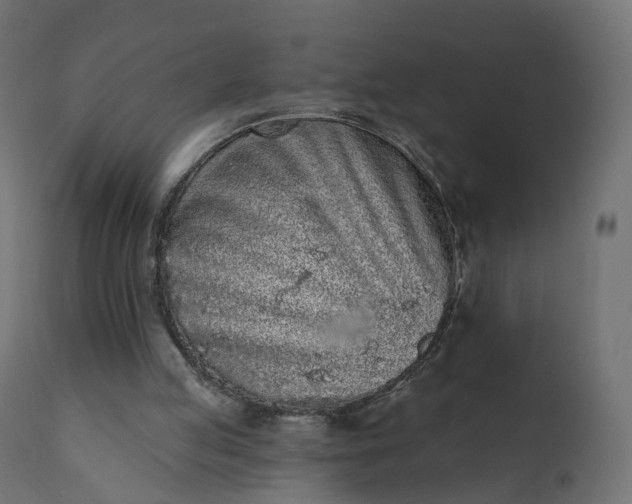 X0000110720053200906261505