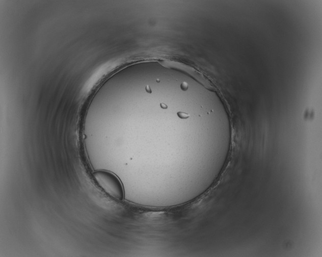 X0000110720054200906261505