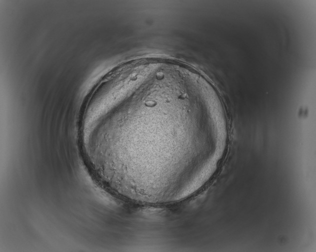 X0000110720055200906261505