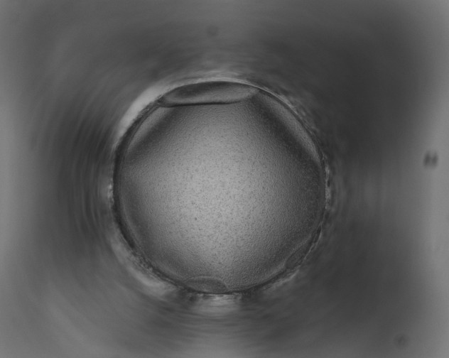 X0000110720056200906261505