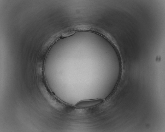 X0000110720057200906261505