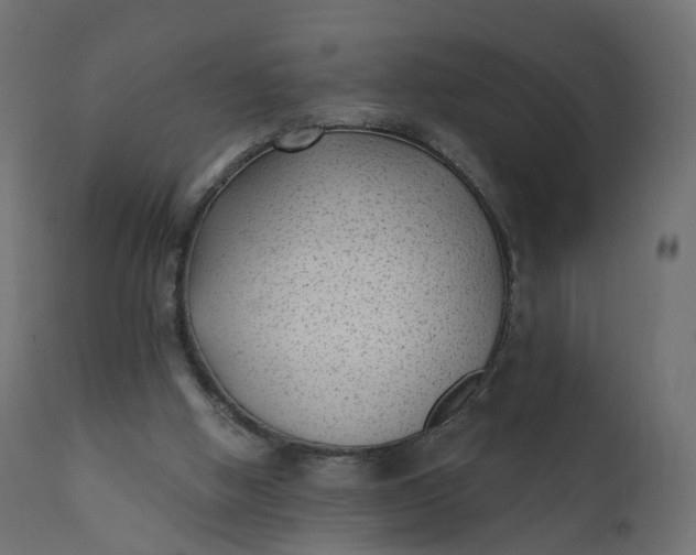 X0000110720058200906261505