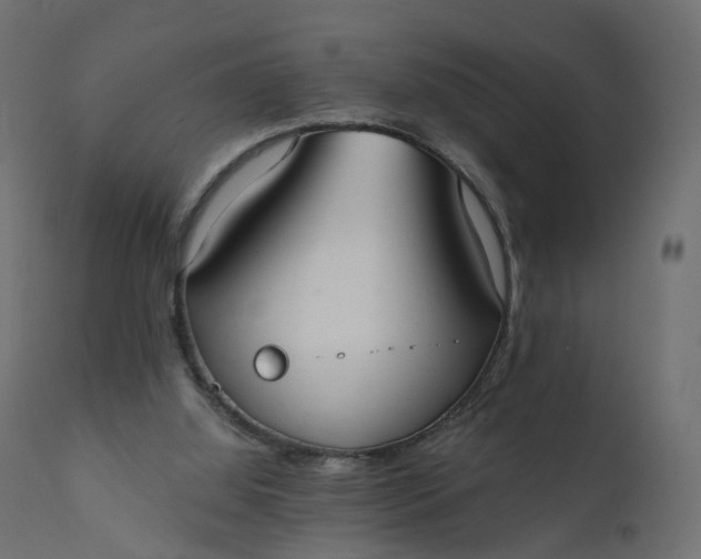 X0000110720060200906261505