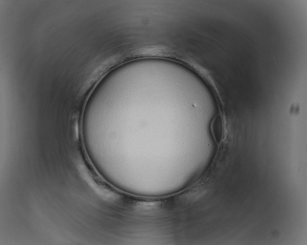 X0000110720061200906261505