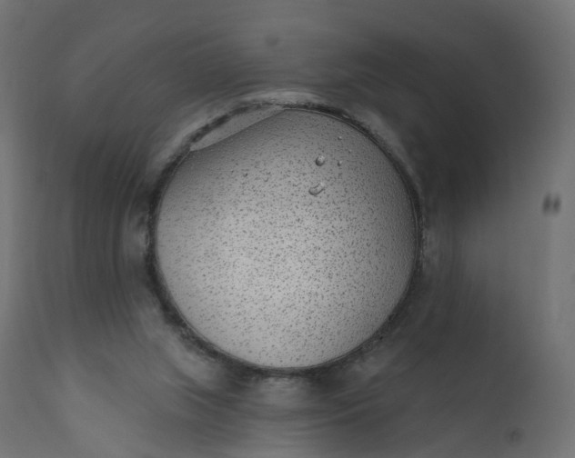 X0000110720063200906261505