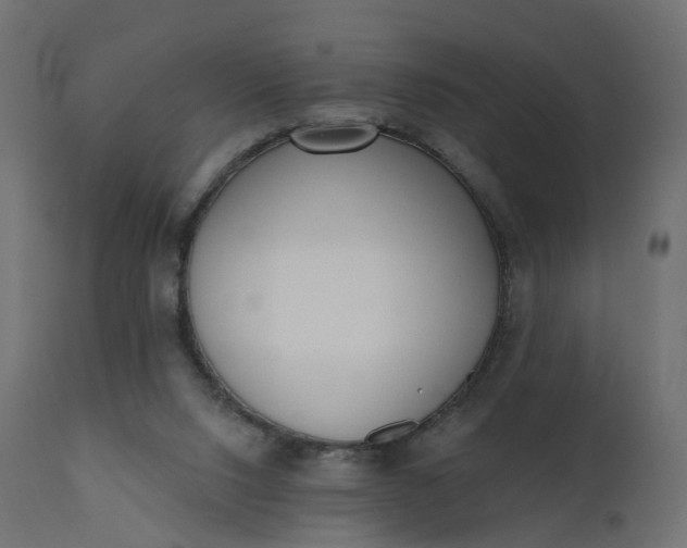 X0000110720064200906261505