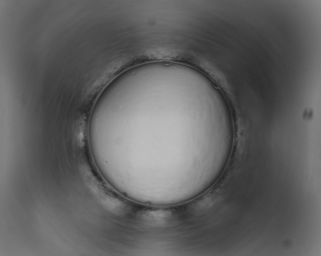 X0000110720065200906261505