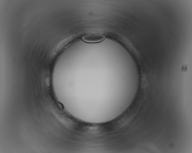 X0000110720068200906261505