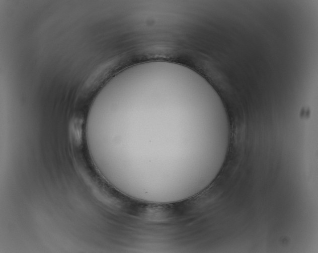 X0000110720070200906261505