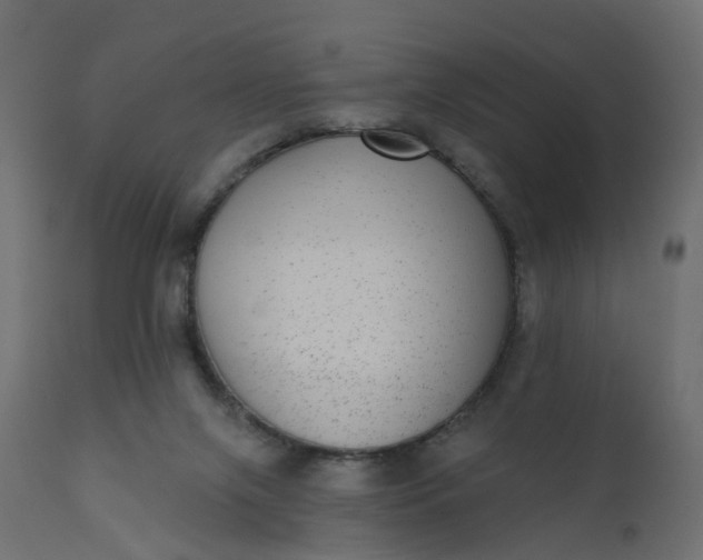 X0000110720071200906261505