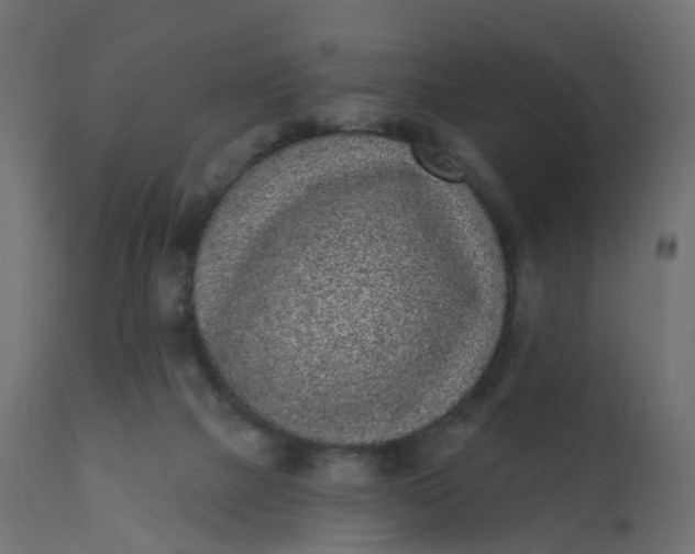 X0000110720073200906261505