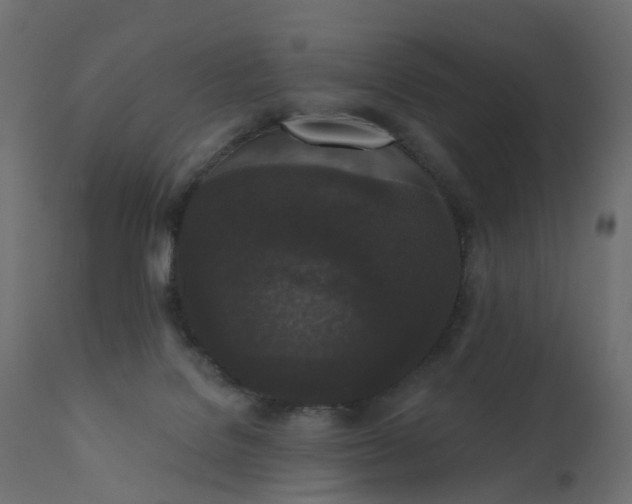 X0000110720076200906261505