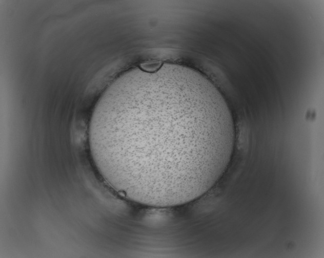 X0000110720077200906261505