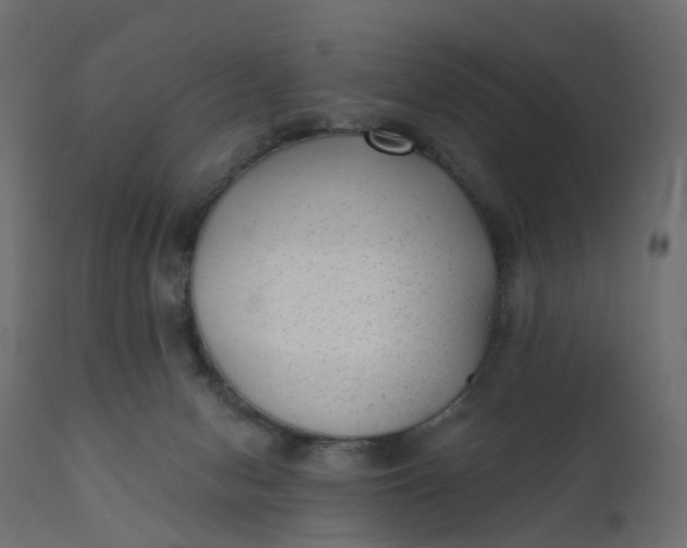 X0000110720078200906261505