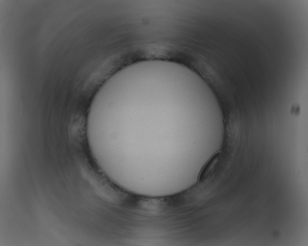 X0000110720079200906261505