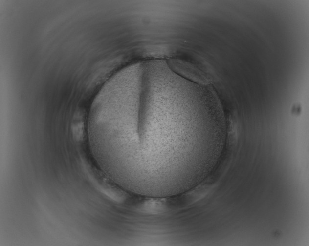 X0000110720080200906261505