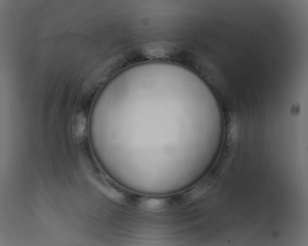 X0000110720081200906261505