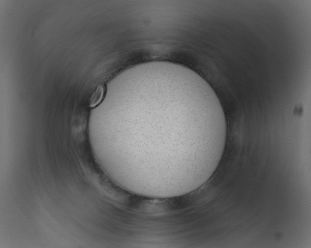 X0000110720082200906261505