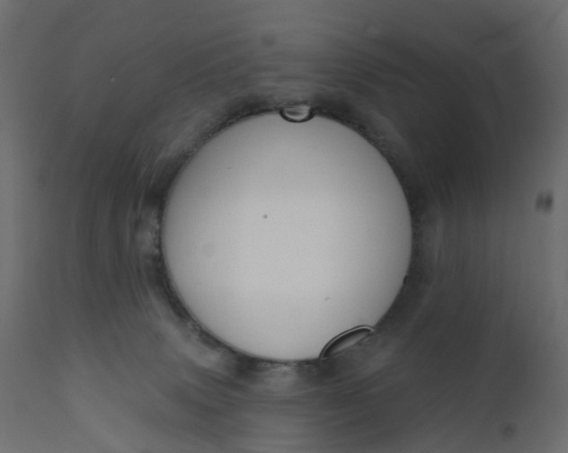 X0000110720083200906261505