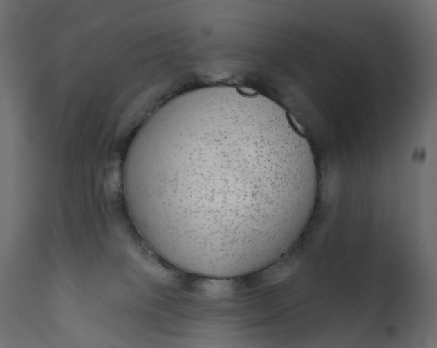 X0000110720085200906261505