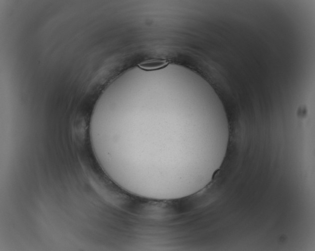 X0000110720086200906261505