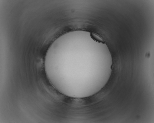 X0000110720087200906261505