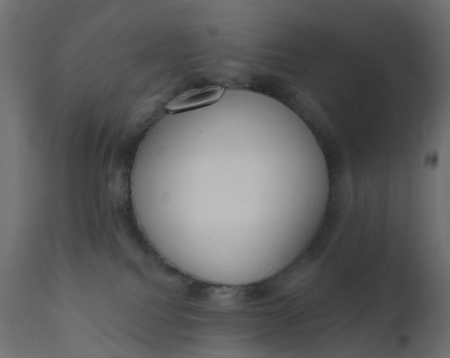 X0000110720088200906261505