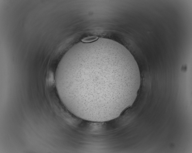 X0000110720089200906261505