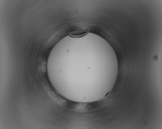 X0000110720090200906261505