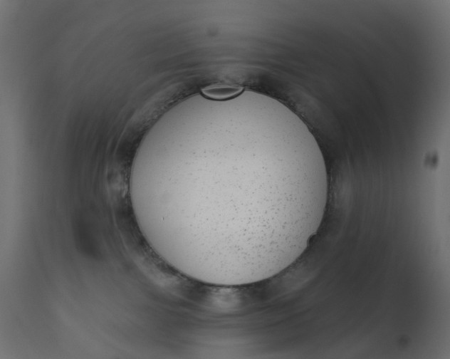 X0000110720091200906261505