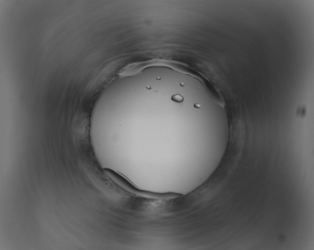 X0000110720092200906261505