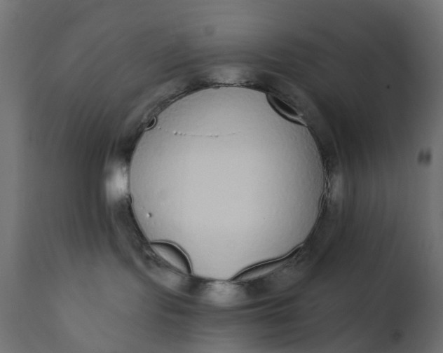 X0000110720095200906261505